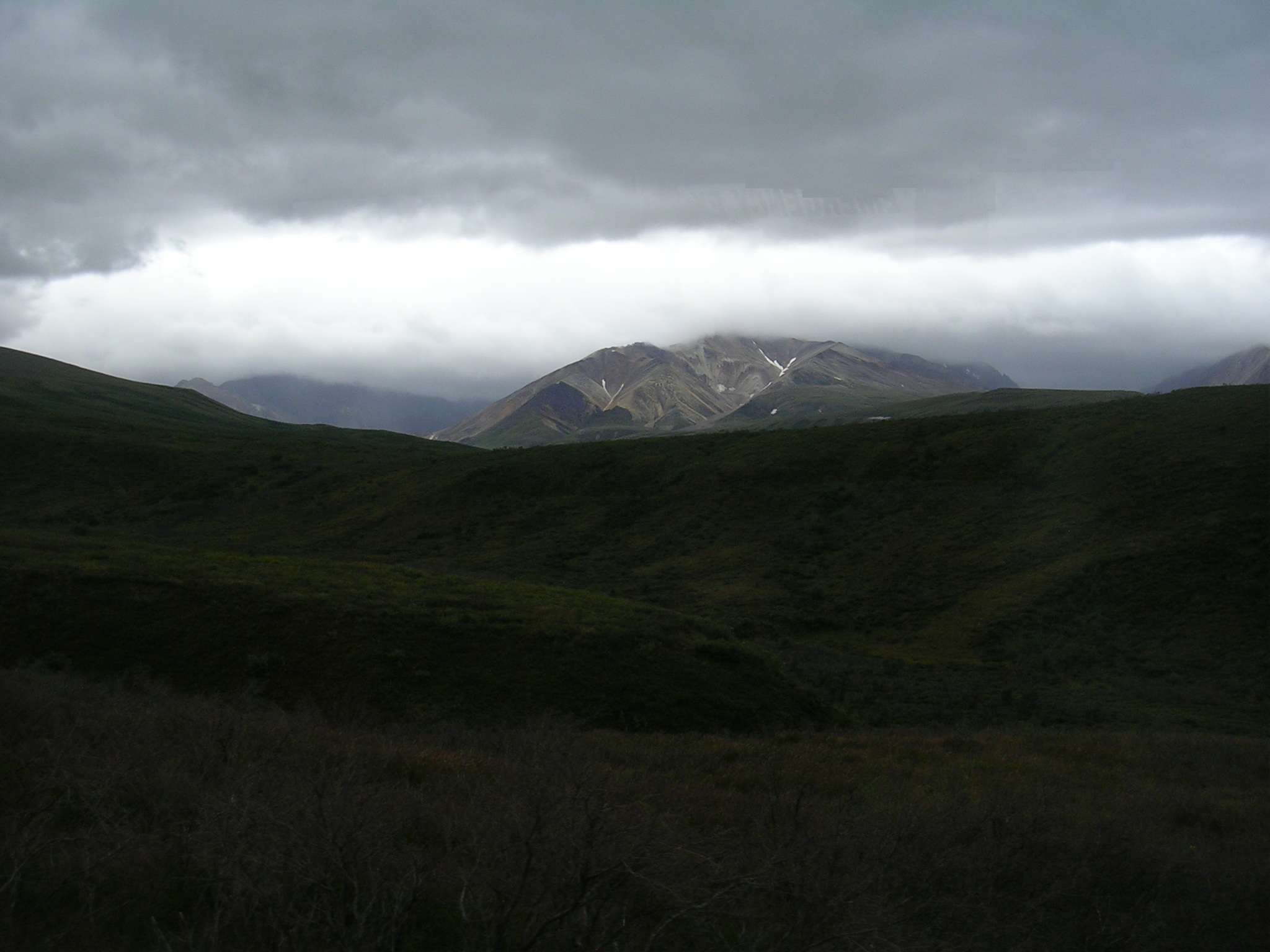 Denali Mountain Range