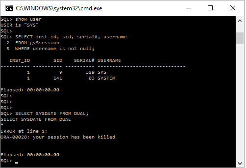 Oracle 11g Sessions Seen in sys Login