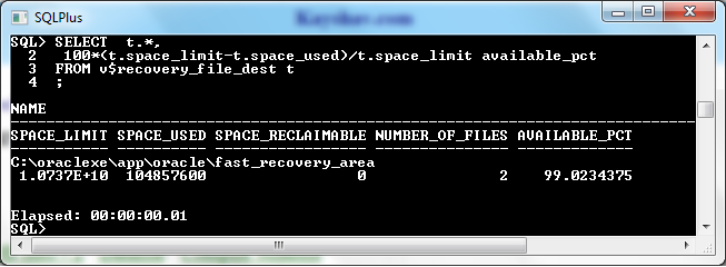 Oracle archiver output